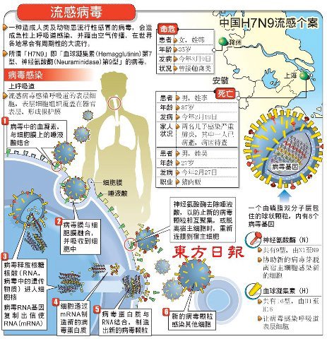 H7N9禽流感疫情扩散