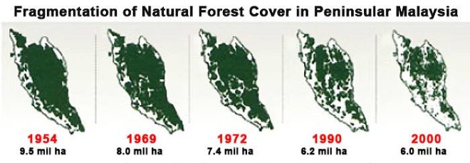 马来西亚半岛森林覆盖率 - 37.7% !!