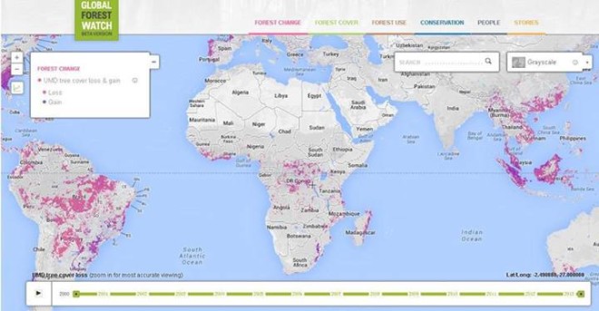 《全球森林观察网》上线 砍伐实况全球监控