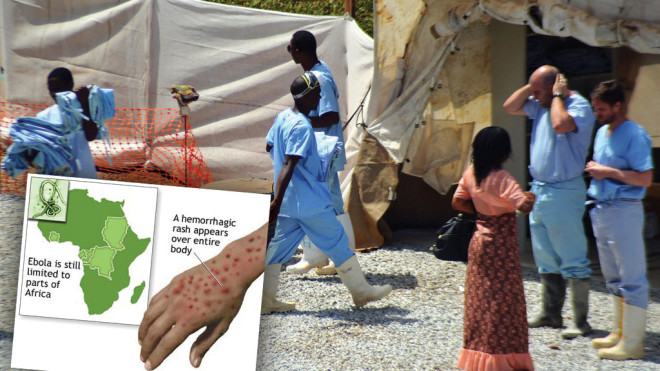 伊波拉：下一个人类世界流感病毒