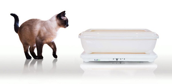 又一個貓奴高科技發明：貓咪如廁記錄儀 Tailio！