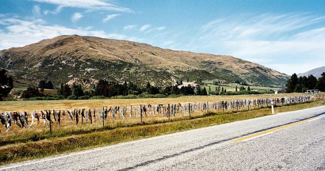 Cardrona_bra_fence