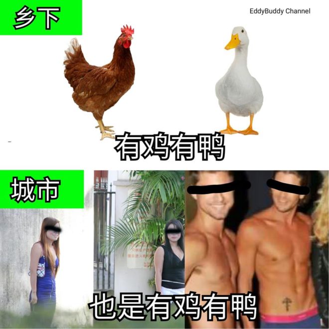 有鸡有鸭 vs 也是有鸡有鸭