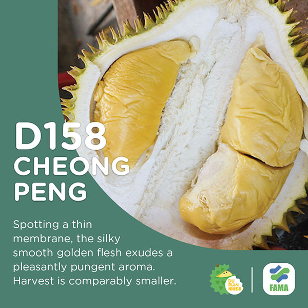 D158 Cheong Peng