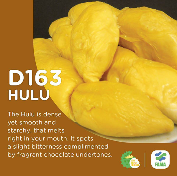 D163 Hulu