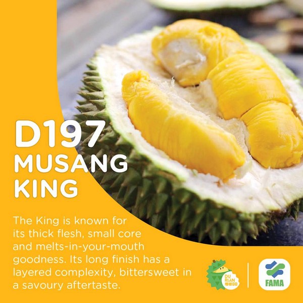 D197 Musang King The King is known for its thick flesh, small core and melts-in-your-mouth goodness. Its long finish has a layered complexity, bittersweet in a savoury aftertaste.