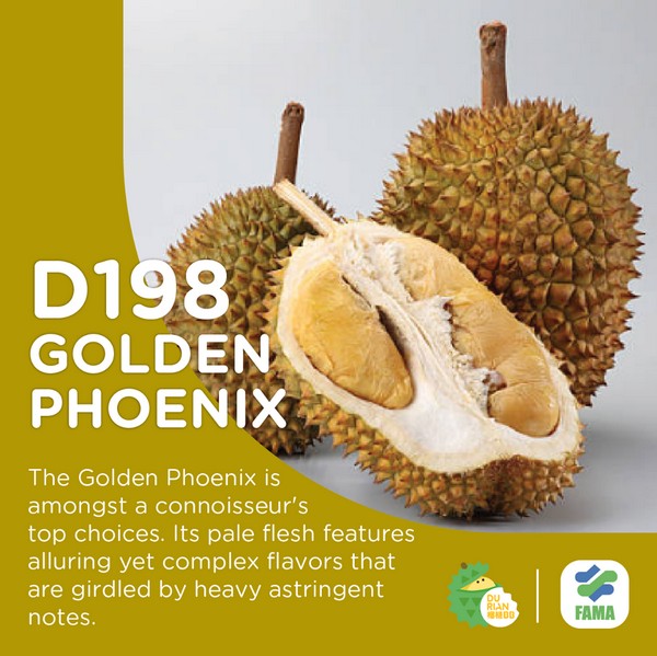D198 Golden Phoenix