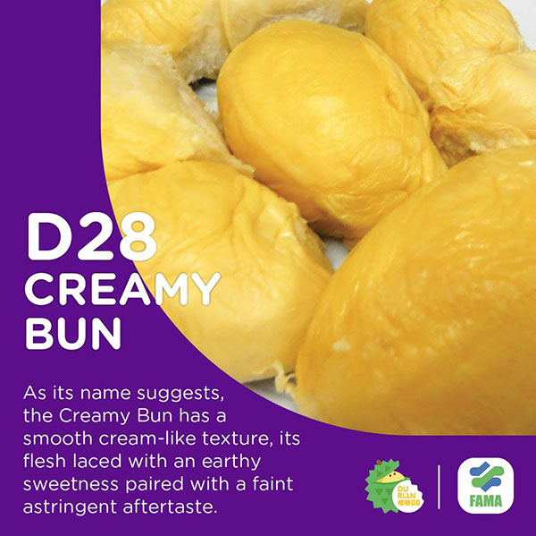 D28 Creamy Bun