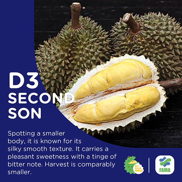 D3 Second Son