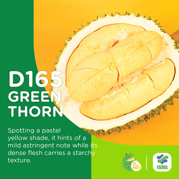 D165 Green Thorn