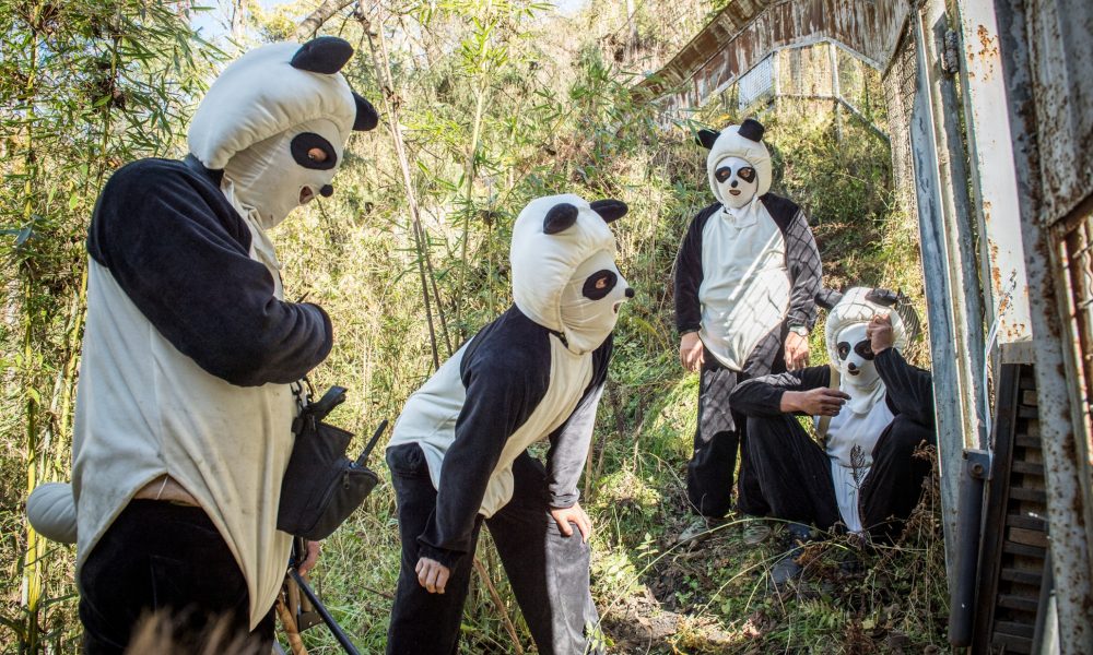 Pornhub幽默公益广告「Make Porn，Save Pandas」