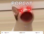 popcat-red-eyes